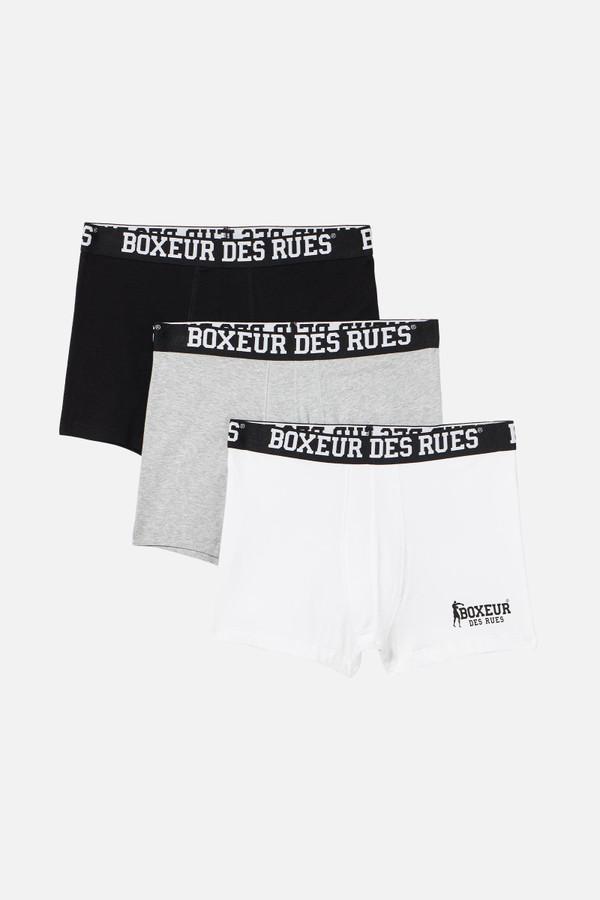 3 Boxer Basic Con Logo